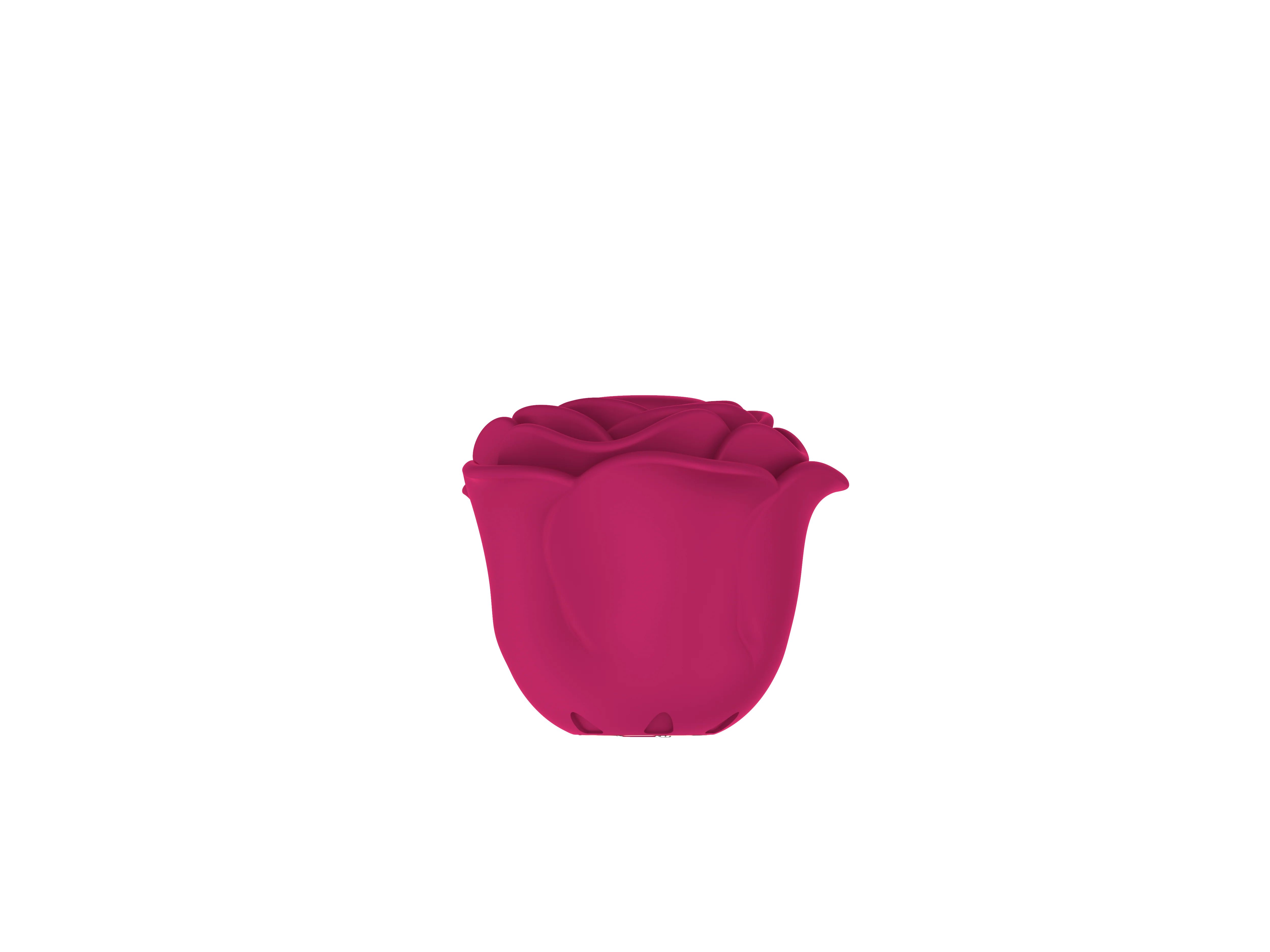 SUCKER FOR ROSES - Image 7